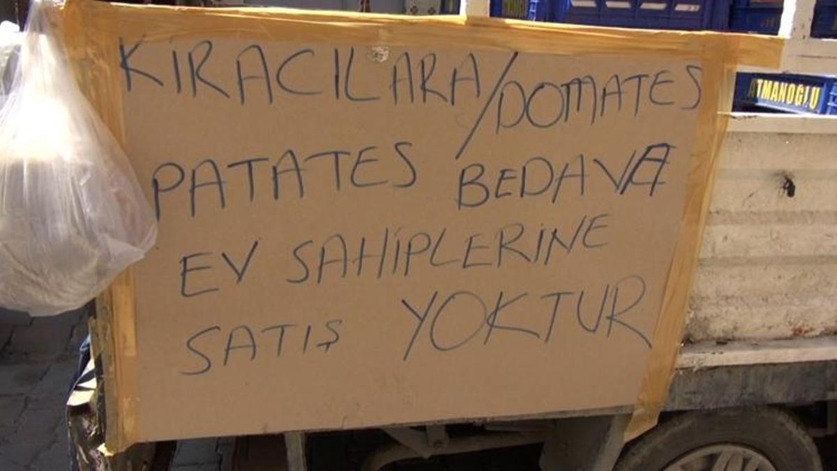 Kirada oturanlara ücretsiz domates dağıtıyor! 'Ev sahiplerine vermiyoruz'