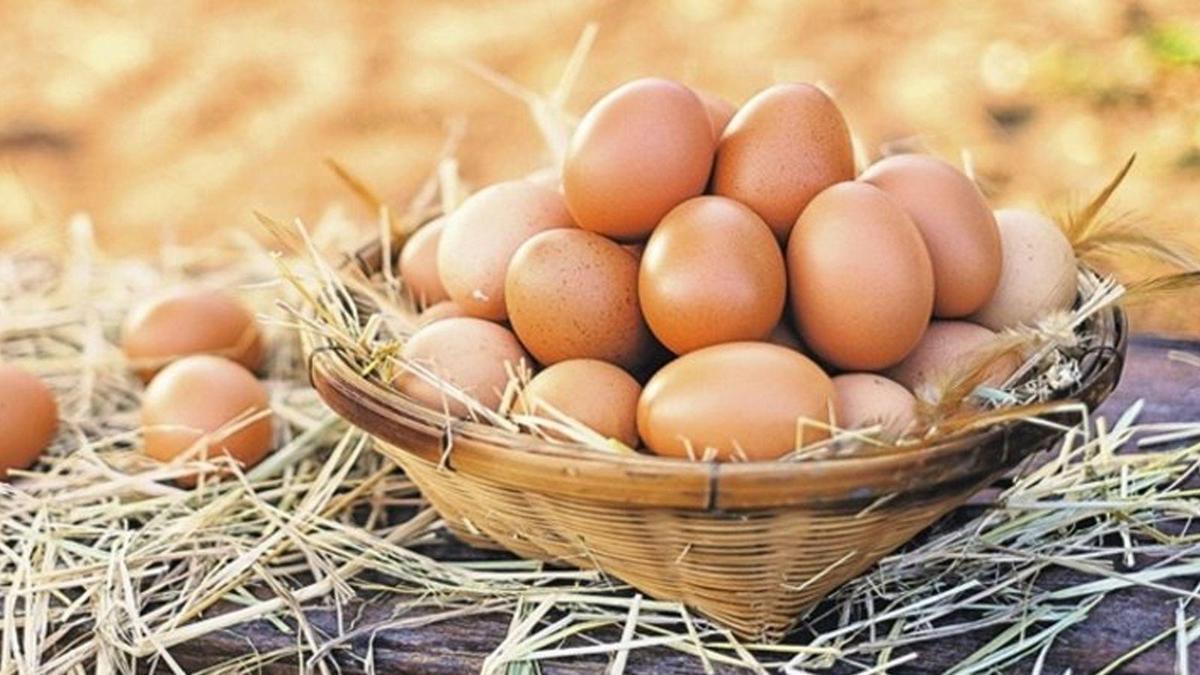 Yumurta viyolü üretimi yapan 5 firmaya soruşturma