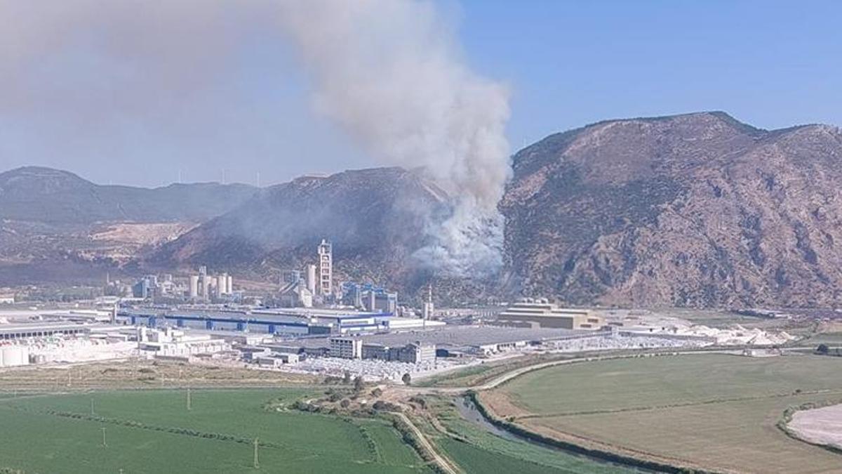 Söke’de orman yangını! Müdahale başladı