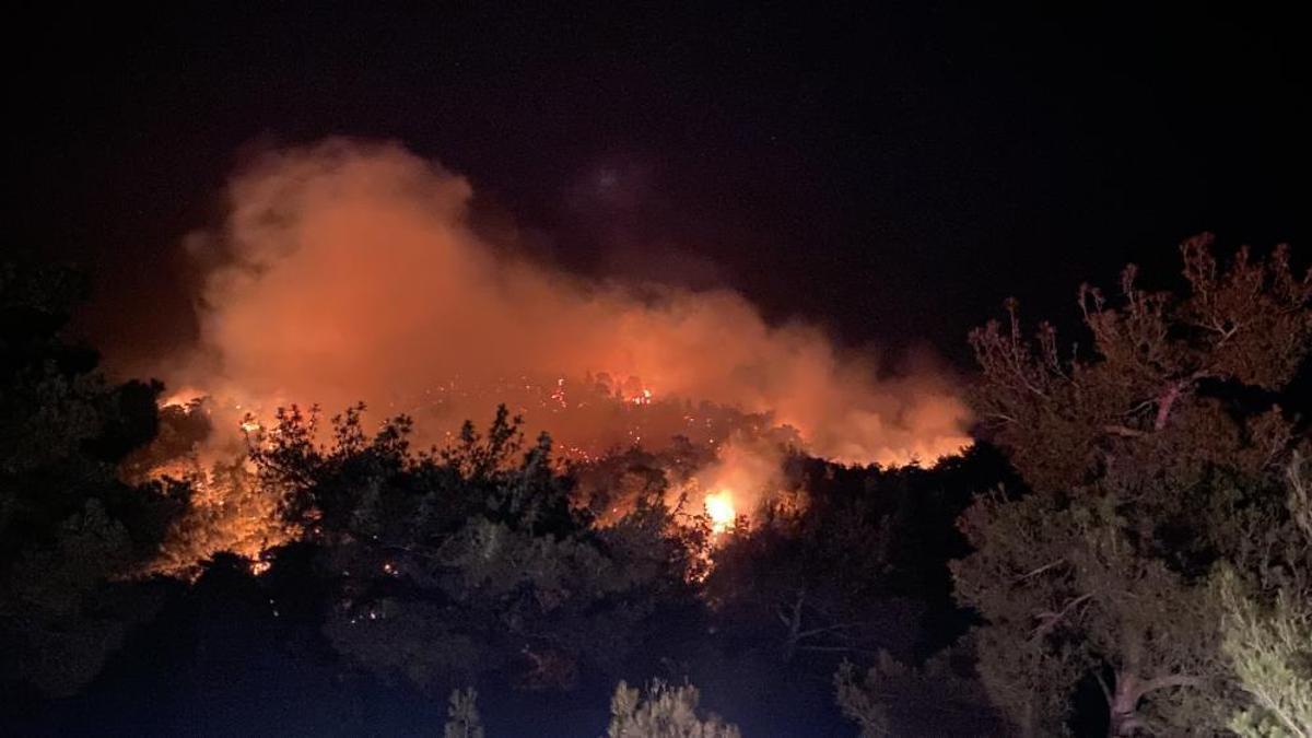 Çanakkale’de orman yangını