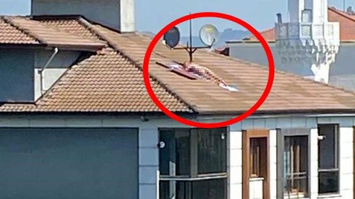 Çatıda çıplak halde güneşlenen, apartmanın sahibi çıktı; 617 TL ceza uygulandı