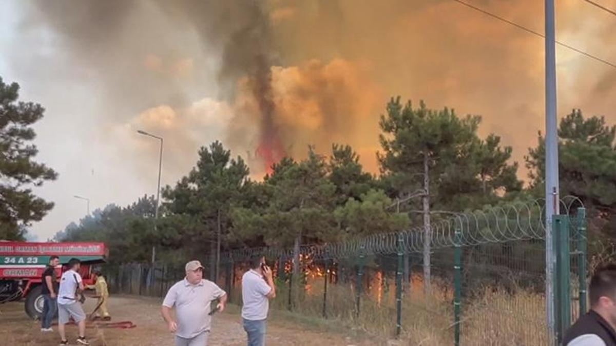 İstanbul Sultangazi'de orman yangını