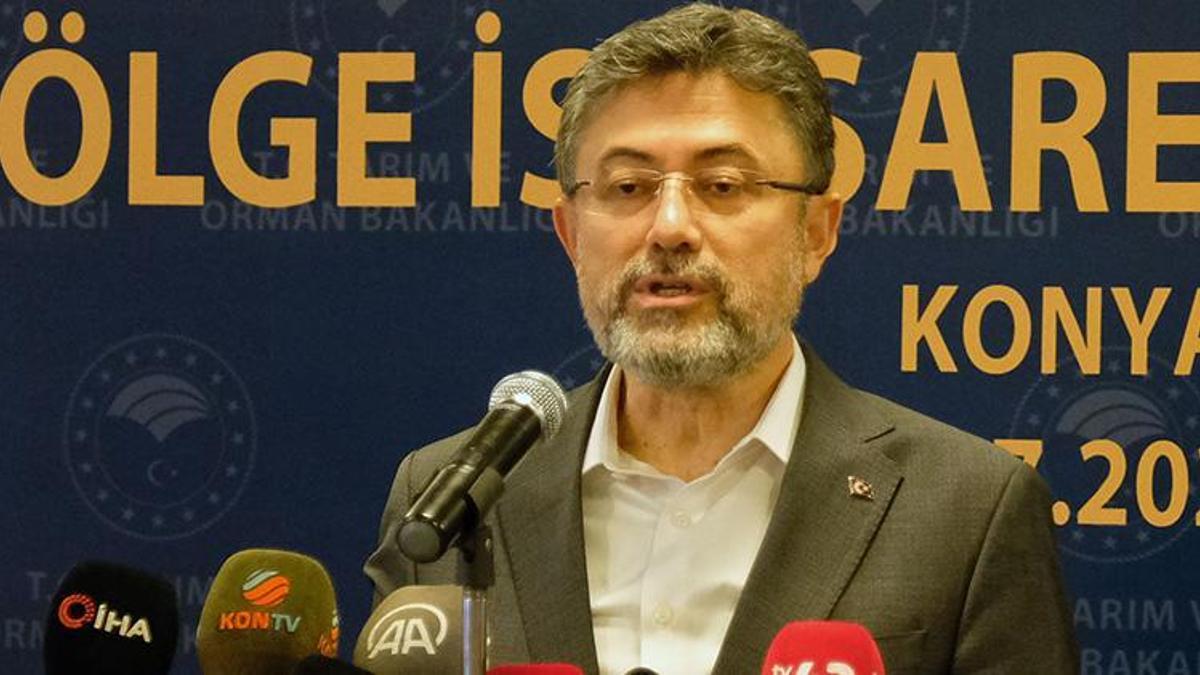 Bakan Yumaklı: Bu yıl orman yangınlarında 6 bin 900 hektar alan zarar gördü