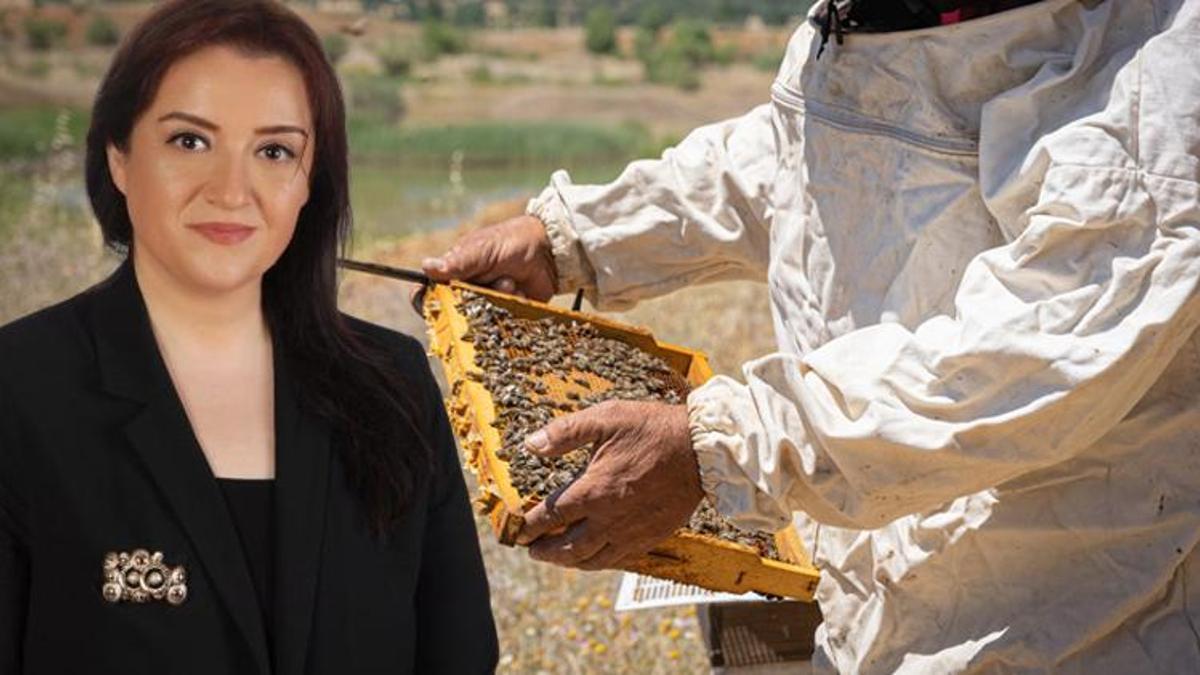 Fırsatçıların yeni hilesi ortaya çıktı: Esmer pirinçten bal! Gıda Güvenliği Denetim Uzmanı açıkladı