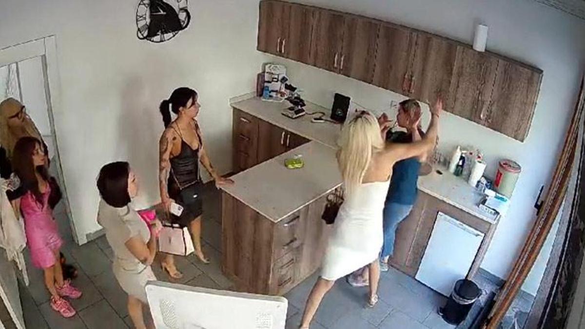 Kedisinin ölümünden sorumlu tuttuğu veterineri darbetti! Şok anlar