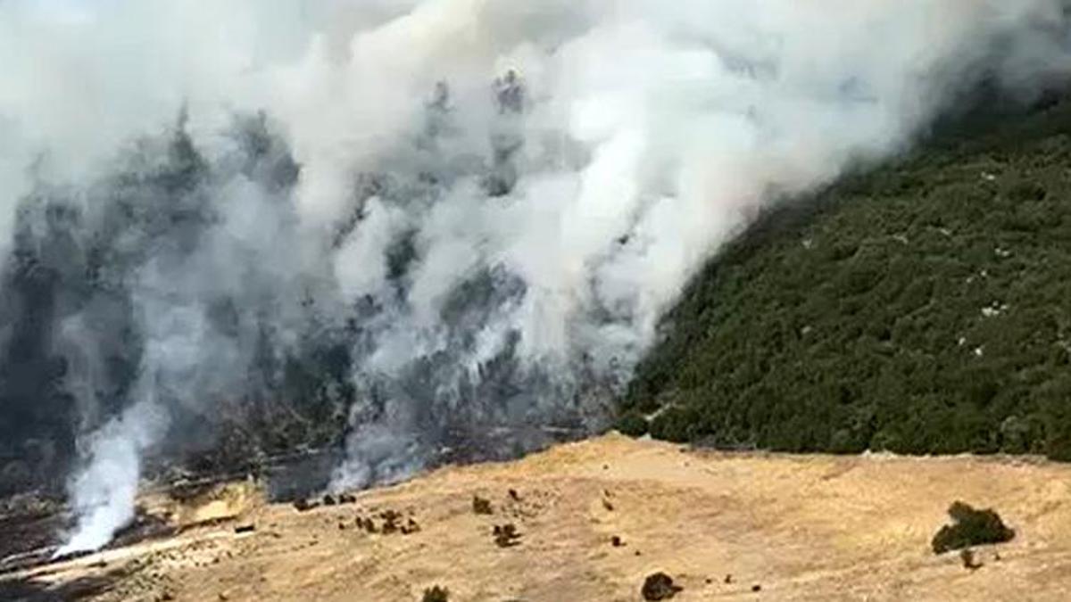 Antalya Kaş'ta orman yangını