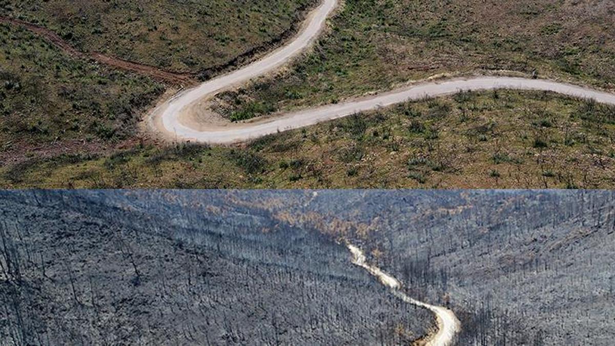 Marmaris'te yanan ormanlar yeni haliyle görüntülendi