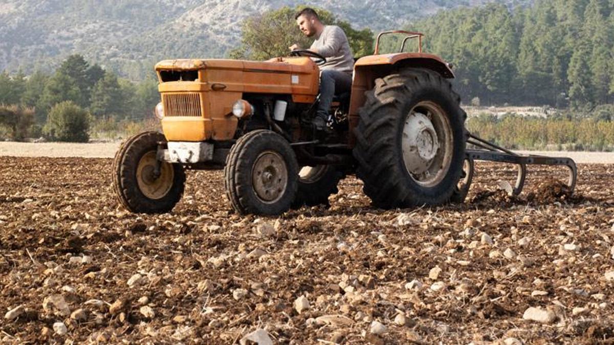 Tarımda yeni dönem başlıyor! 22 yıl sonra tarım sayımı başlıyor