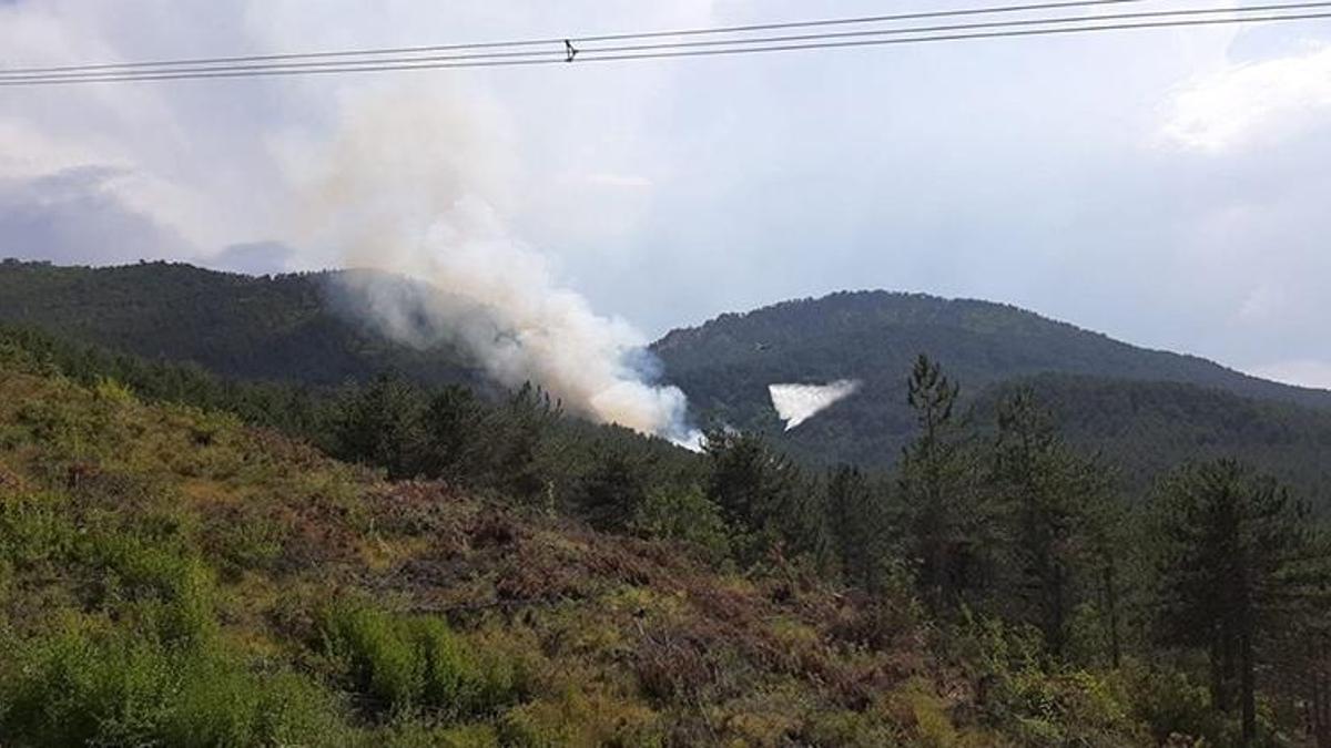 Bolu'da orman yangını! Çok sayıda ekip sevk edildi