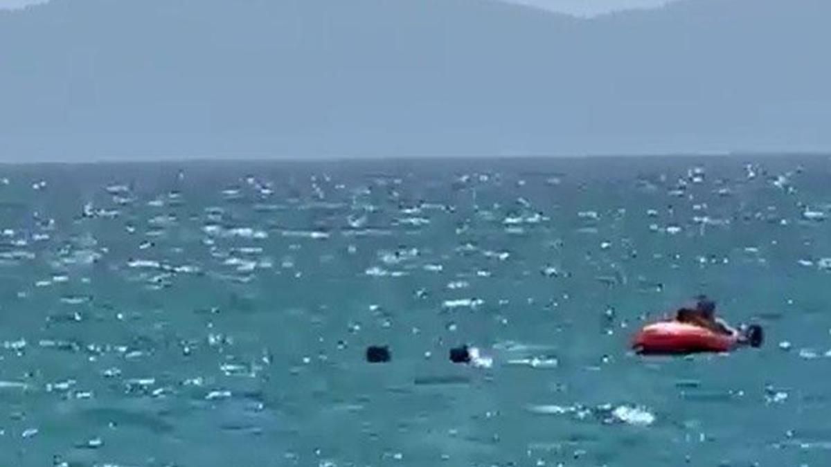 Yer Edirne: Denizin ortasında korku dolu anlar