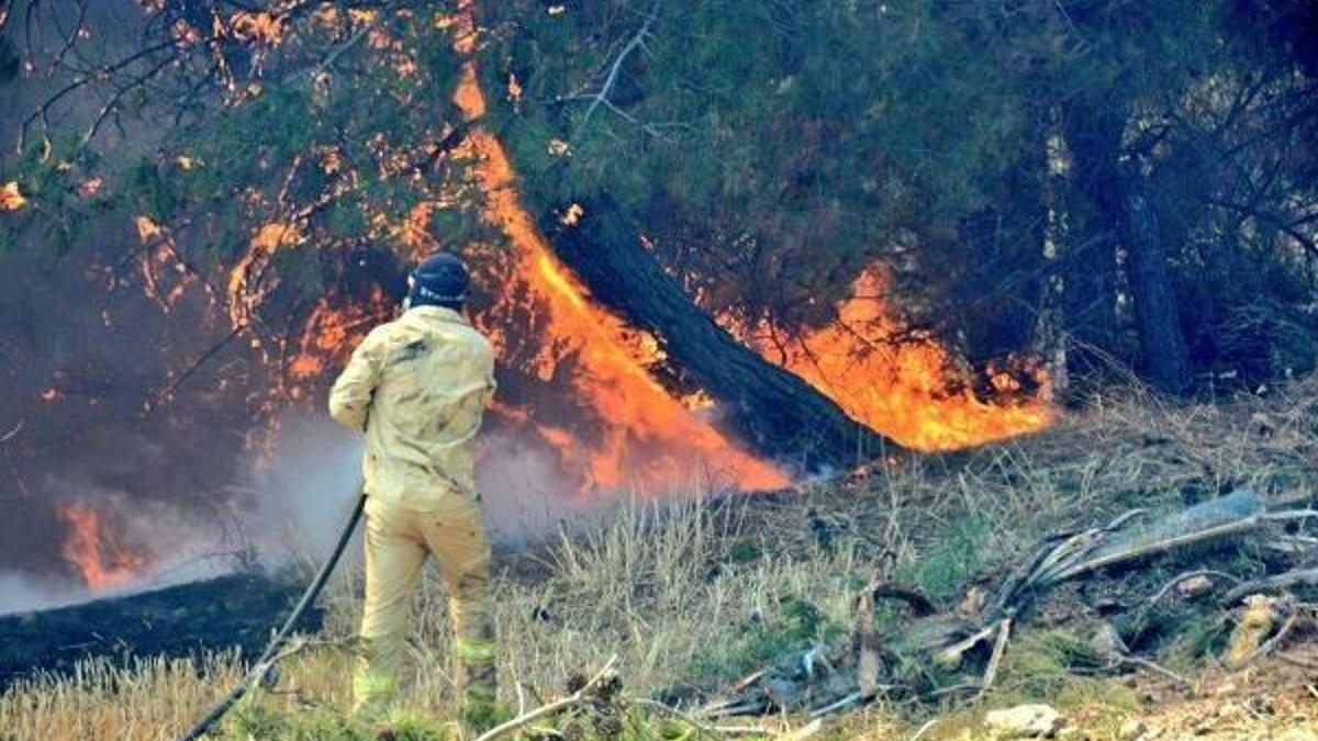 Çanakkale'de orman yangını! Yerleşim yerleri boşaltıldı