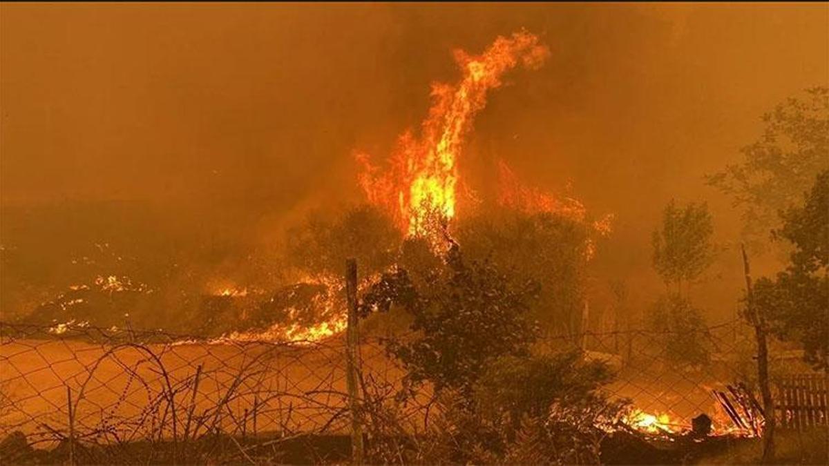 Çanakkale'deki orman yangını sürüyor: AFAD'dan açıklama geldi