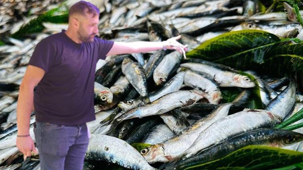 Av yasağı kalktı tezgahlar balıkla doldu taştı! Kilo fiyatları belli oldu