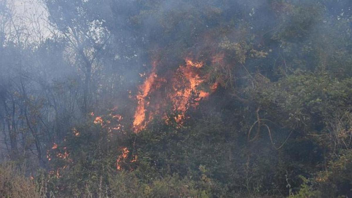 Sinop’ta yangın: 10 dönüm alan zarar gördü