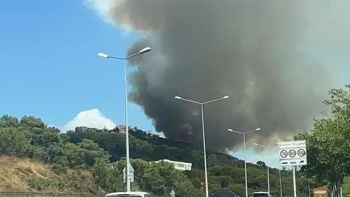 Maltepe'de orman yangını! Müdahale sürüyor