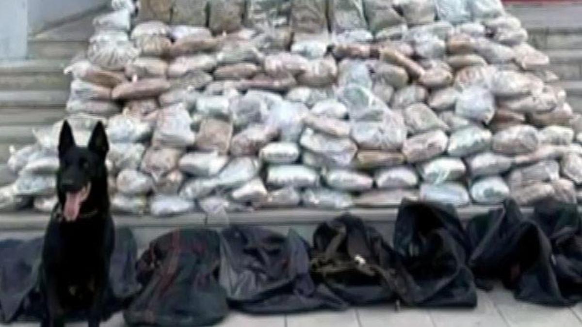 Bakan Yerlikaya duyurdu! 14 zehir taciri yakalandı