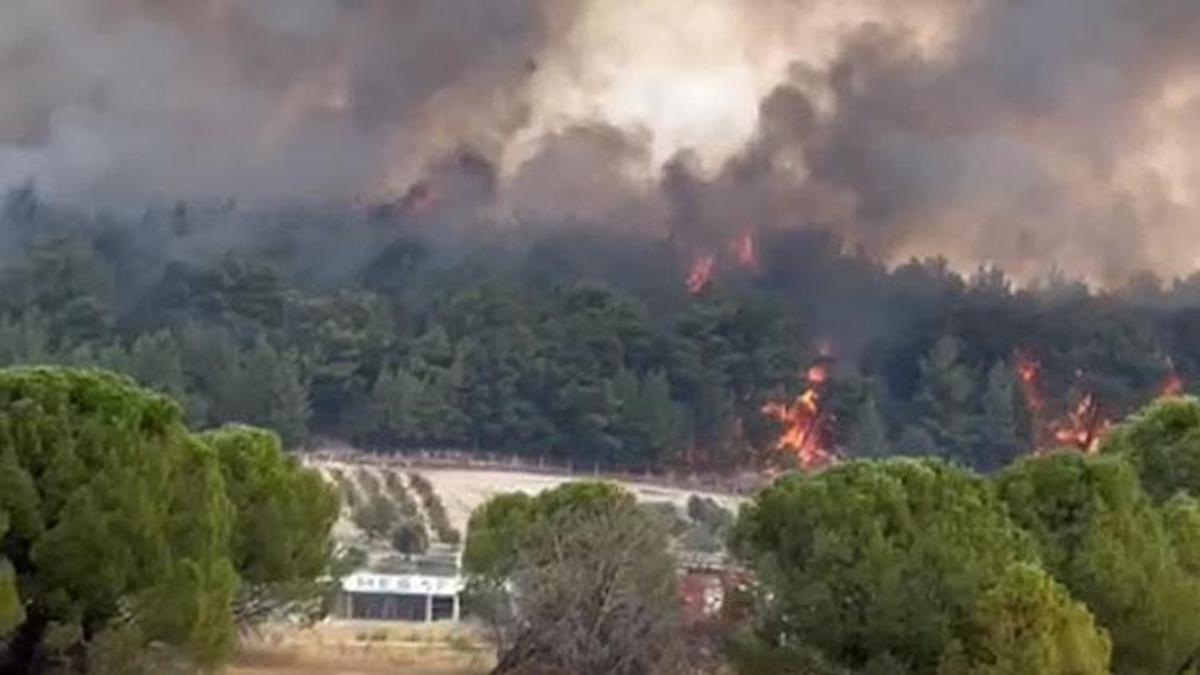 İzmir'de orman yangını! Müdahale sürüyor