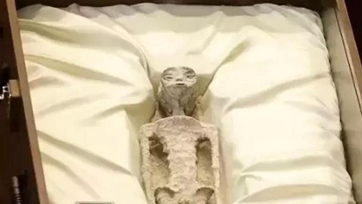 Uzaylıların görüntülerini ortaya çıktı! İnsan olmayan varlıkların cesetleri 1000 yıllık...
