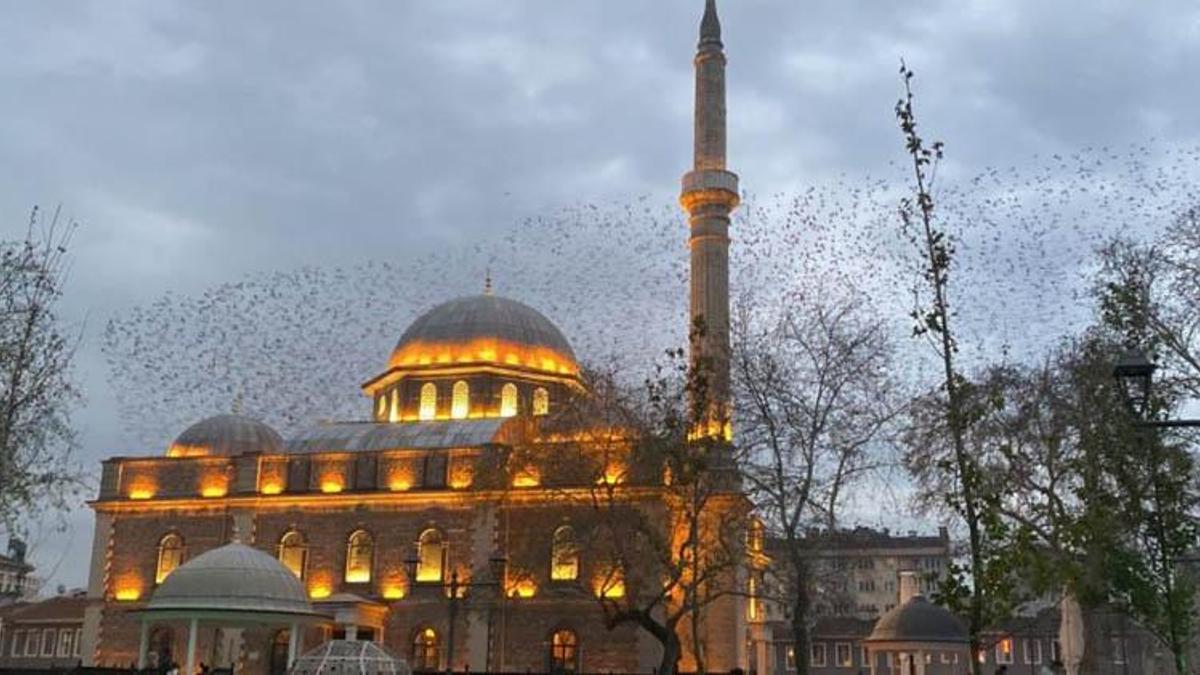 15 EYLÜL CUMA HUTBESİ | Cuma Hutbesinin konusu nedir? Cuma Hutbesi 15 Eylül 2023 konusu