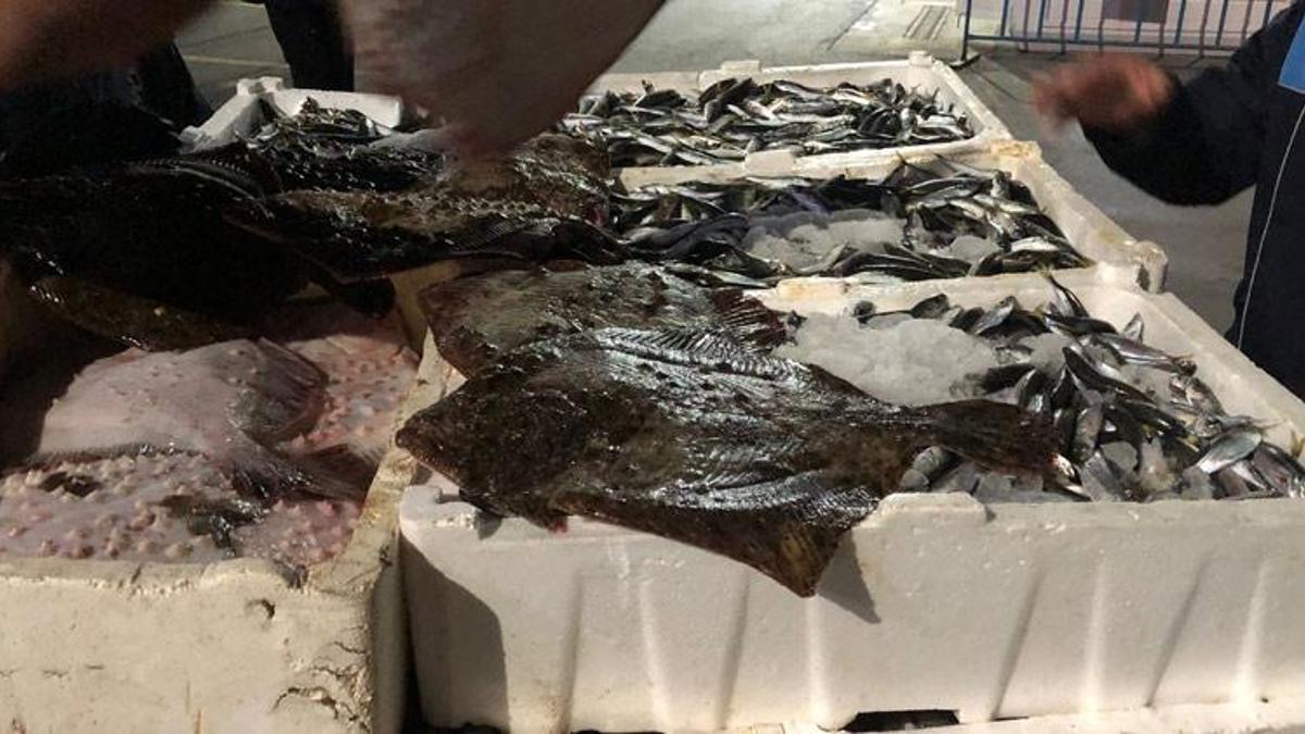 Gürpınar Balık Hali'nde denetim! Ceza yağdı
