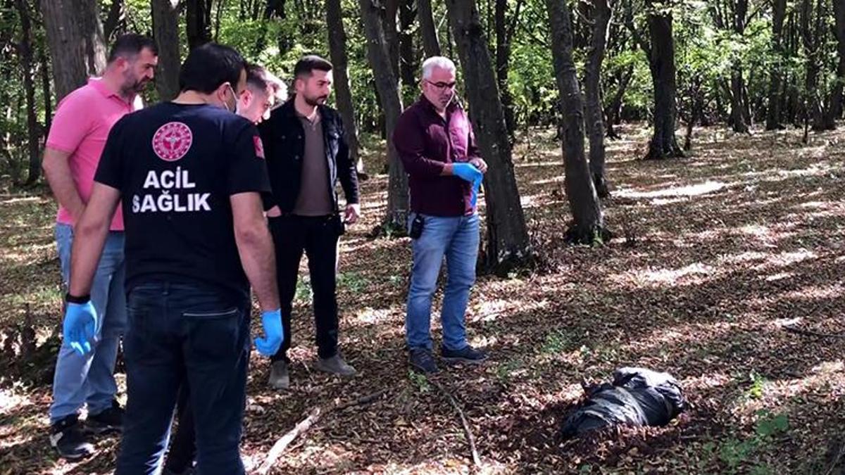 Koli bantlarıyla bağlanmış poşette ölü köpek bulundu