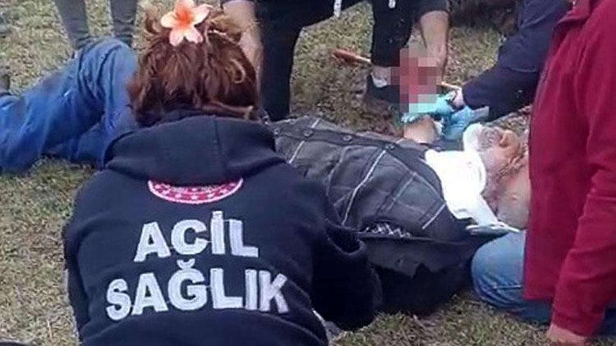 Köye inen ayı tarladaki yaşlı adama dehşeti yaşattı!