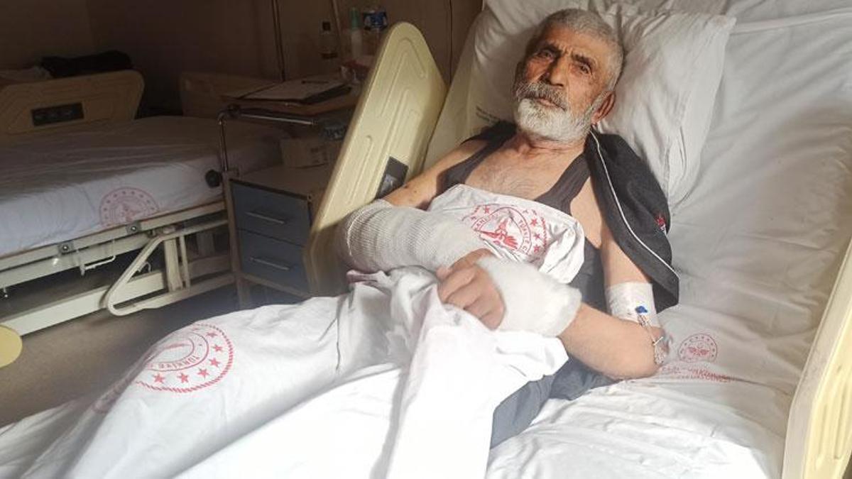 Ayının saldırısına uğrayan yaşlı adam dehşete düşüren o anları anlattı: Korku ve acıdan ayının ağzına elimi soktum ve dilini sıktım