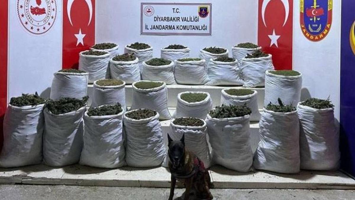 Diyarbakır'da uyuşturucu operasyonu: 603 kilo esrar, 640 bin esrar bitkisi ele geçirildi