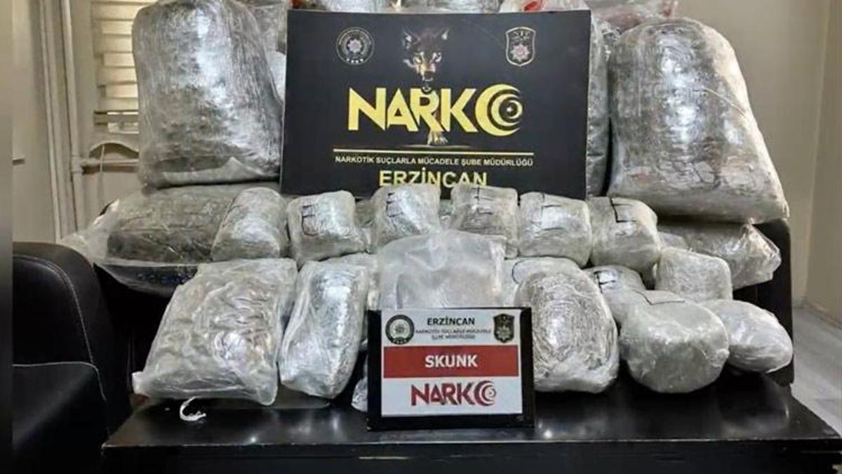 Piyasa değeri 100 milyon lira olan 161 kilo skunk ele geçirildi! Valilik açıklama yaptı