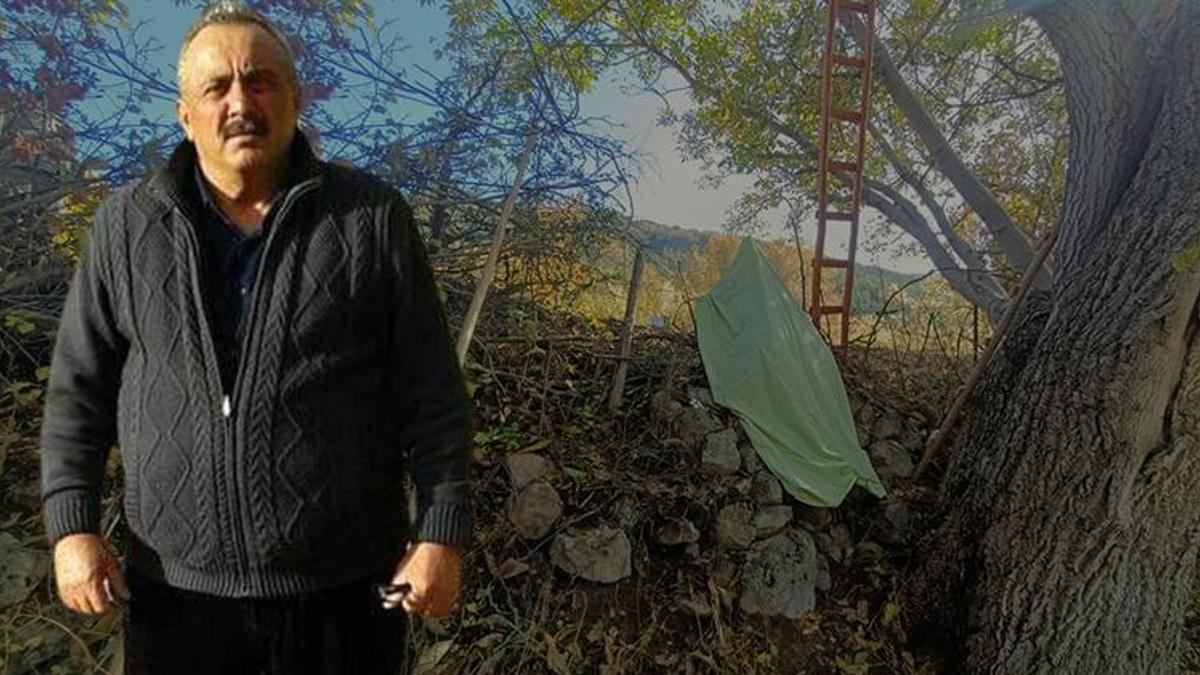 Tarlada korkunç olay! Ceviz ağacından düşüp demir çubuğa saplandı