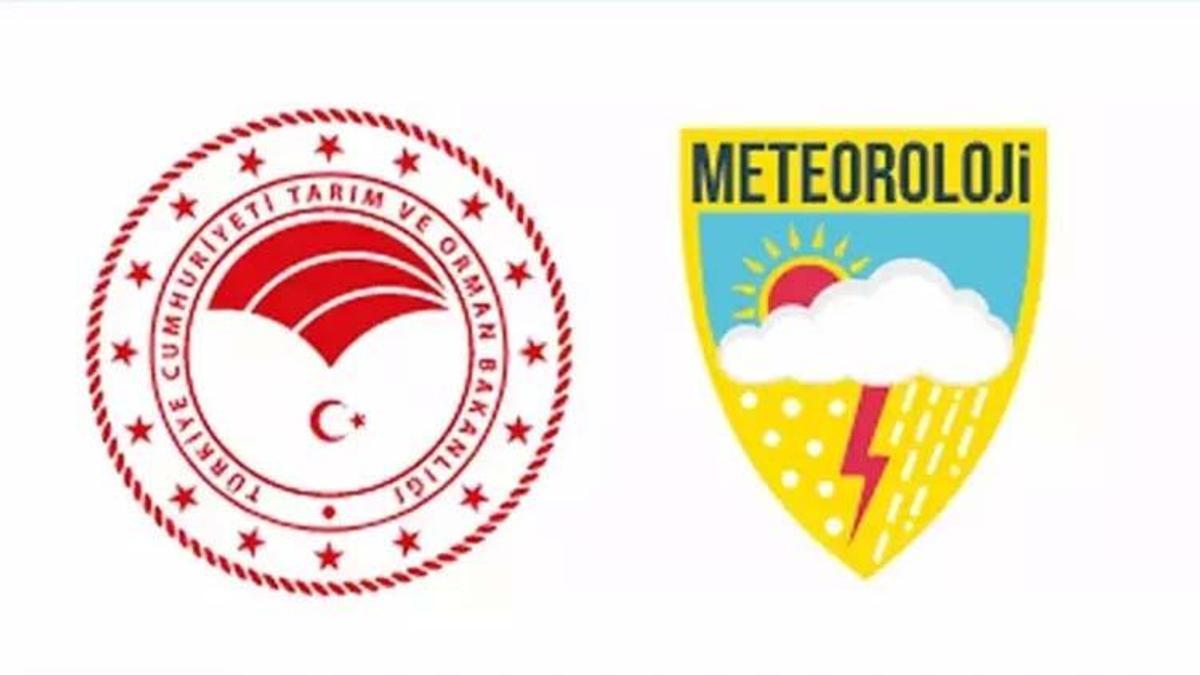 Meteoroloji Genel Müdürlüğü 48 sözleşmeli personel alımı yapacak!
