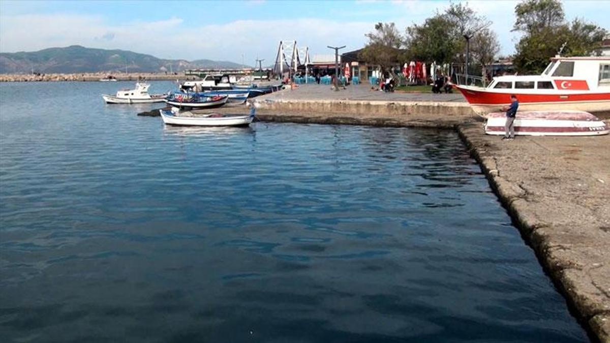 Marmara Denizi'ni bekleyen felaket! Prof. Dr. Mustafa Sarı 'Yüzey suyu sıcaklığı hala 20 derece' diyerek uyardı