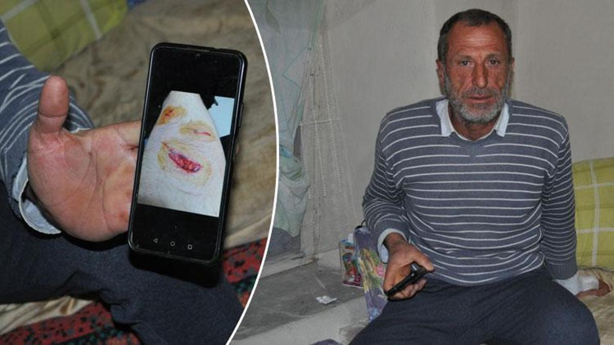500 kiloluk ayının saldırısından mucizevi bir şekilde kurtuldu: Koyunlarla hiç işi olmadı, kükreyerek geldi pençeledi