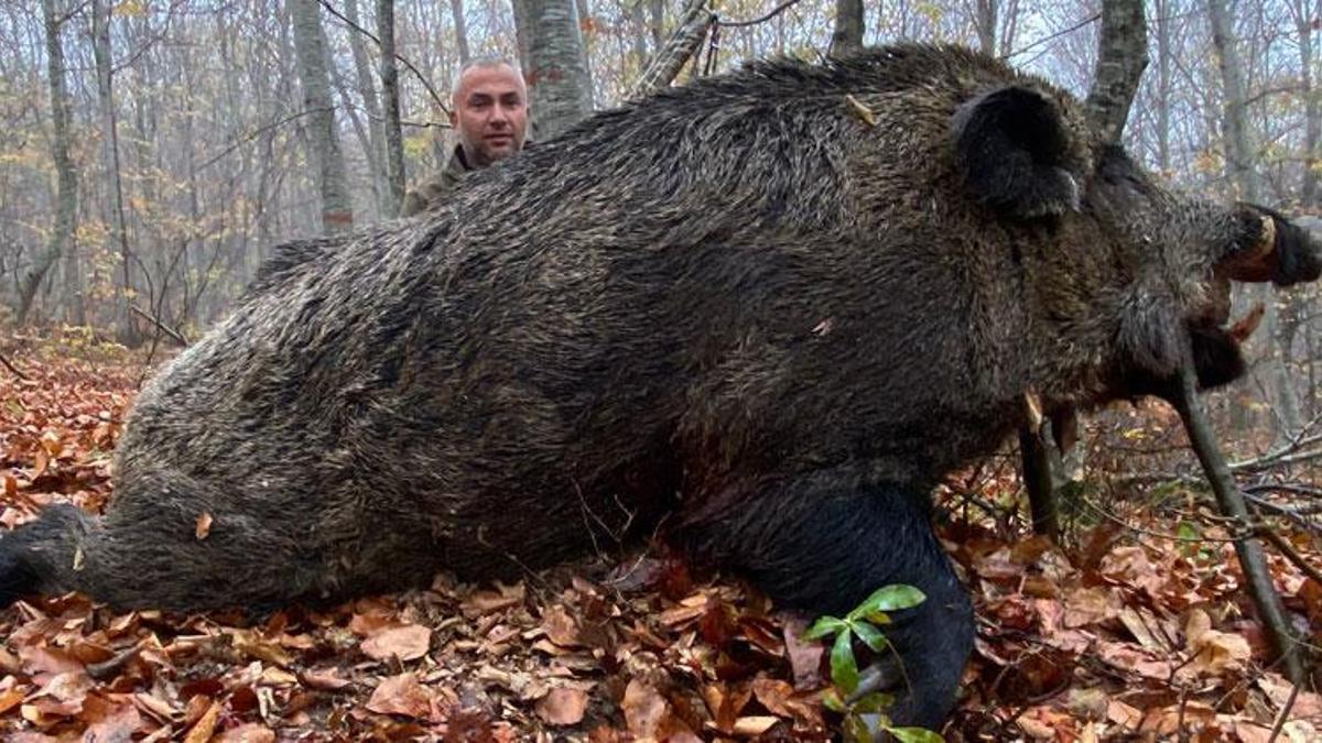 Vatandaşlara korku yaşattı avcılar yakaladı: Tam 459 kilo ağırlığında