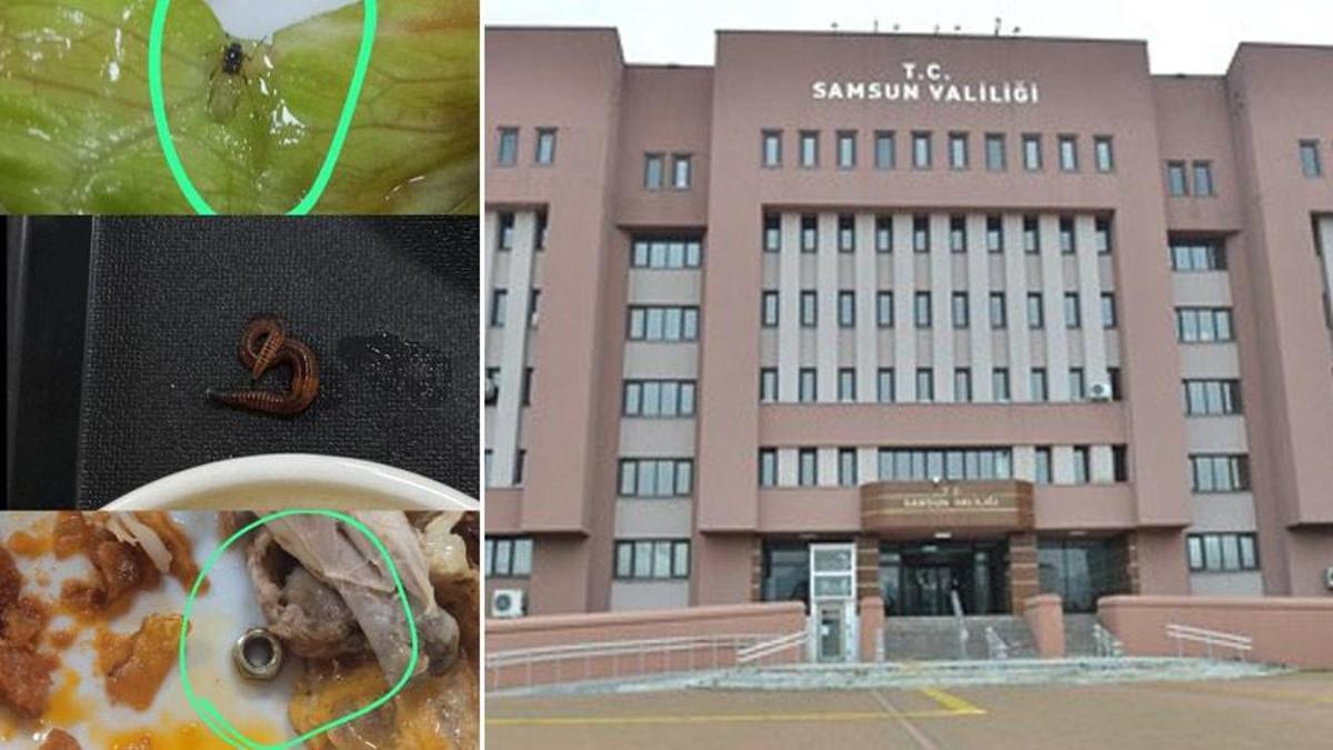 Yurtta 'yemekten böcek çıktı' iddiasına soruşturma