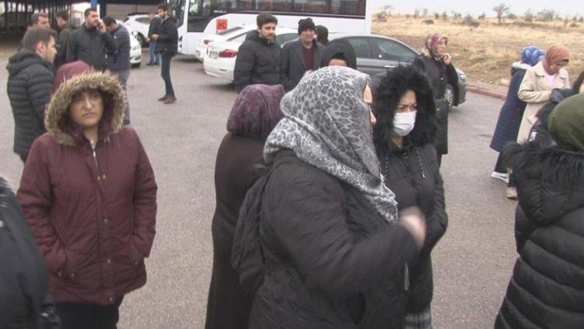 Ankara'da sokak köpekleri küçük çocuğa saldırdı! İnfial yaratan olay