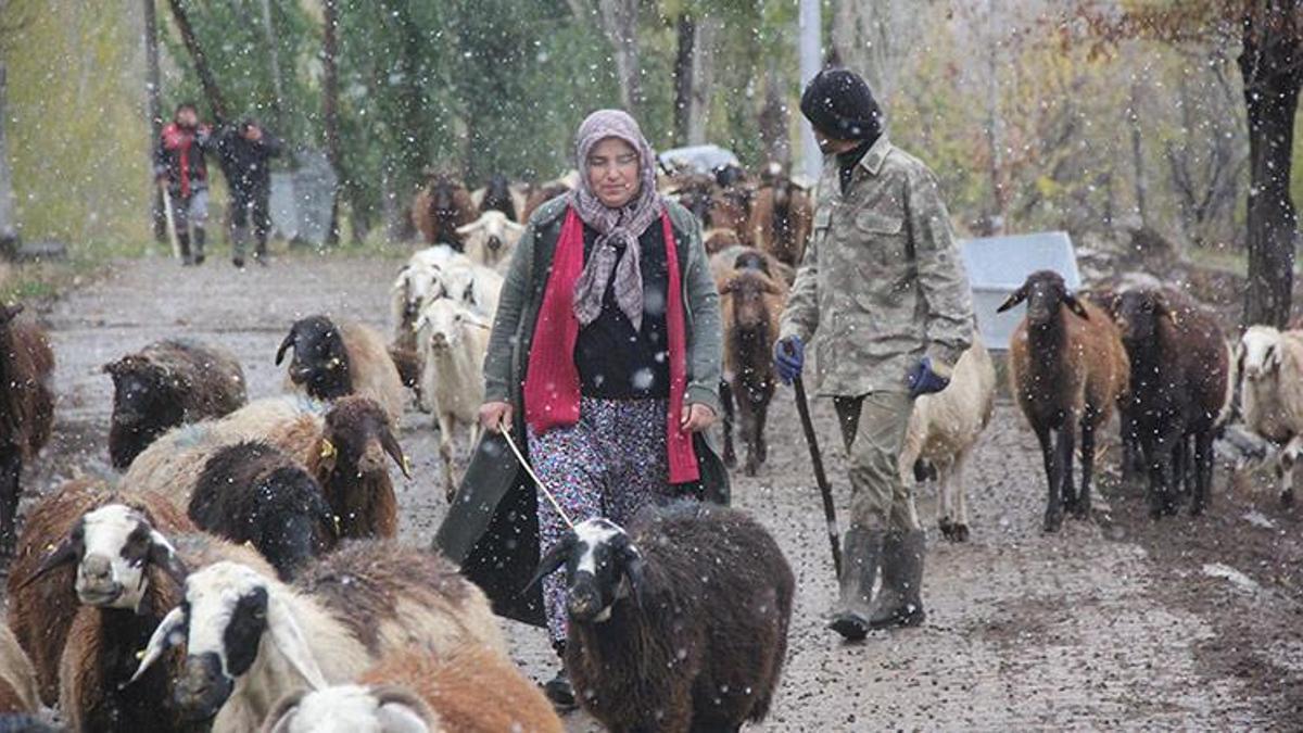 Devletten destek aldı! Varlığı iki katına çıktı