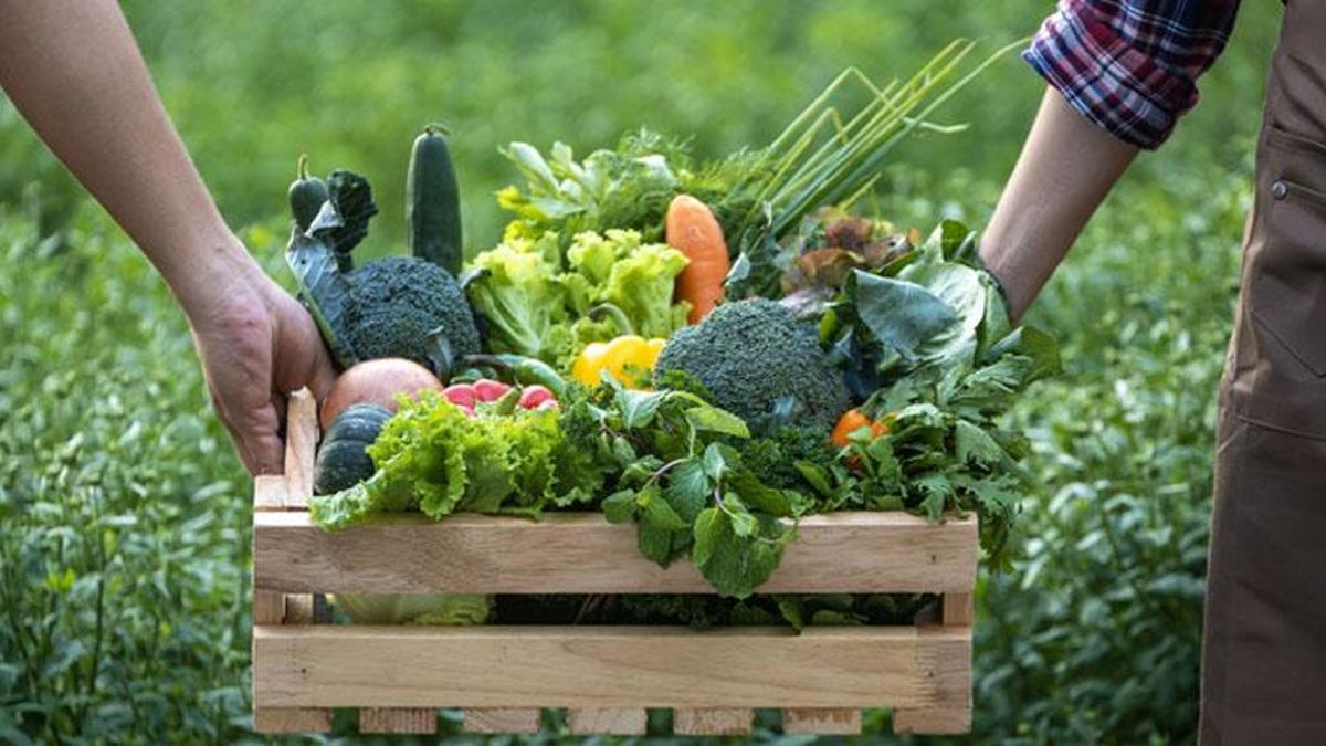 Yerli malı şiirleri! 2, 3, 4 kıtalık uzun kısa seçenekli yerli malı haftası ile ilgili şiirler ve 1. 2. 3. 4. Sınıf yerli malı haftası şiirleri