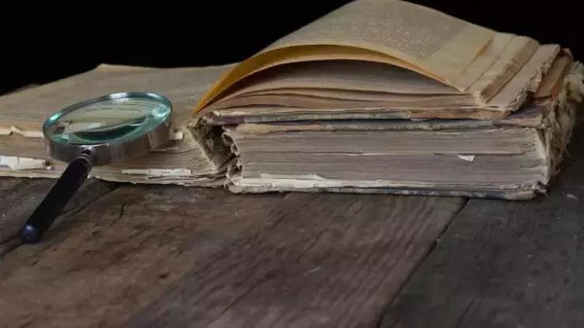 Beyaz Diş Kitap Konusu Nedir, Yazarı Kimdir? Beyaz Diş Kısa Kitap Özeti Ve İçerisindeki Karakterler...
