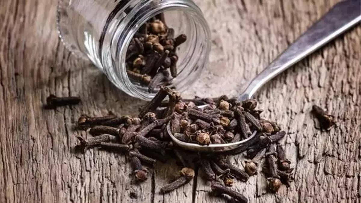 Saç İçin Karanfil Kürü Tarifi İle Zayıflama Önerileri...saç İçin Karanfil Kürü Nasıl Yapılır, Nasıl Kullanılır?