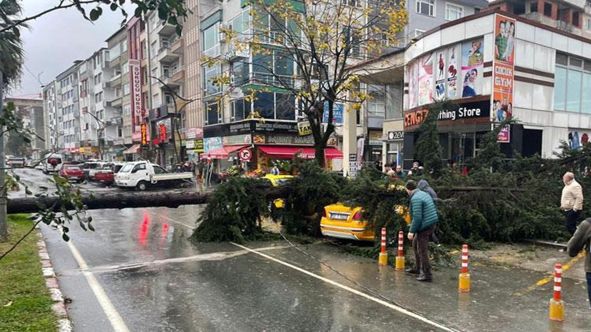 Rize'de fırtına; sac uçtu, ağaç taksinin üzerine devrildi