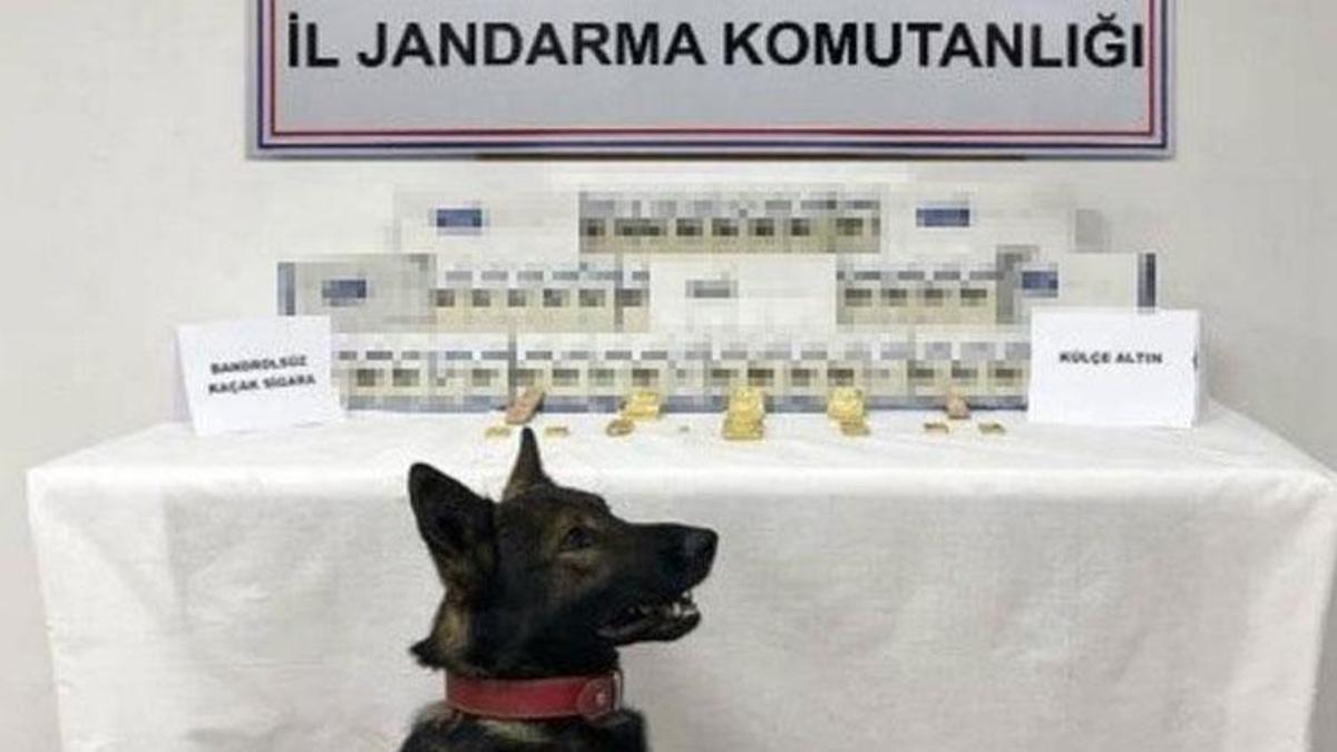 Yolcu otobüsünden külçe külçe altın çıktı