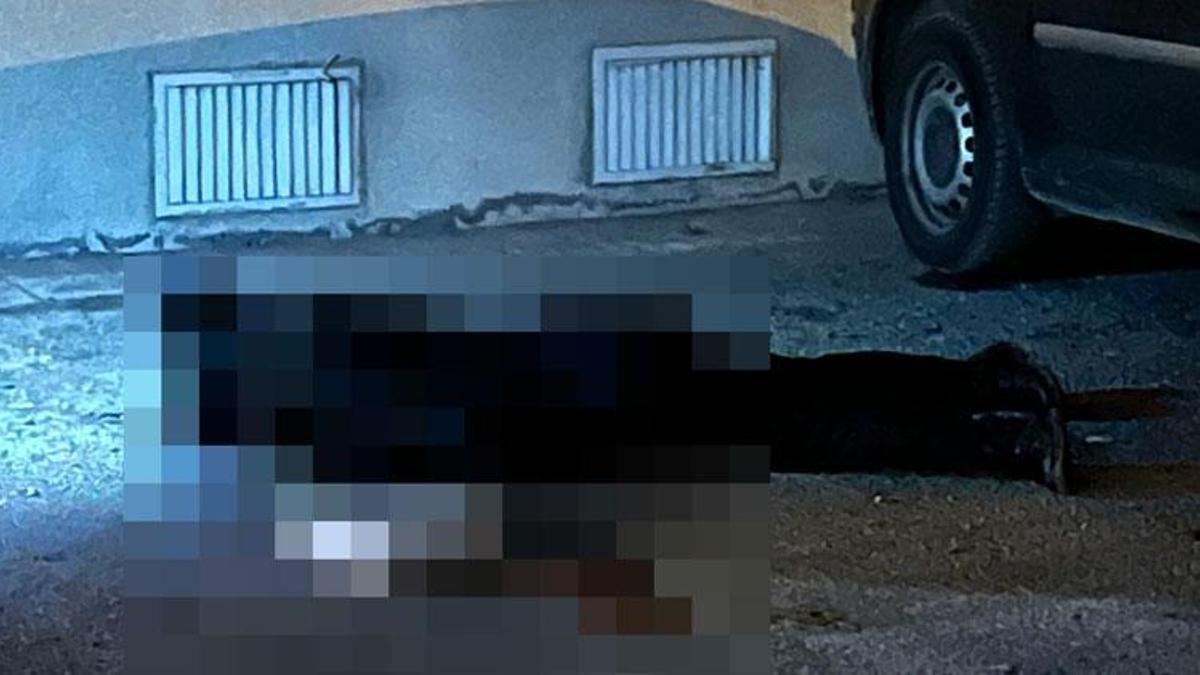 Sokakta yürürken öldürülen Zeynep’in cinayet şüphelisi eski eşi çıktı