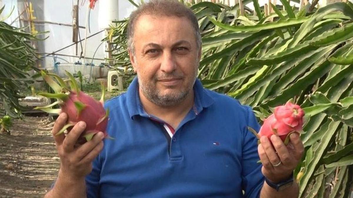 İnternette gördüğü ejder meyvesinin üreticisi oldu