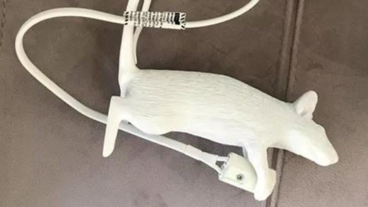 Elinde bu ürün olanlar dikkat: Teslim etmeleri gerekiyor