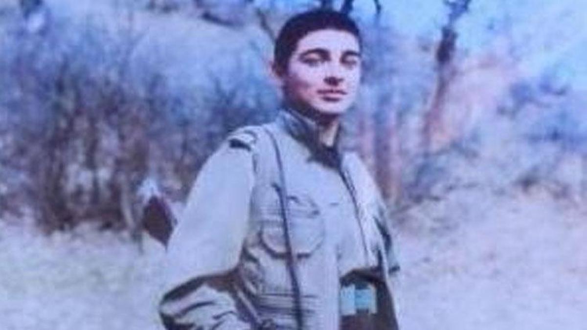 MİT'ten nokta operasyon! Eylem planı yapan Sadık Şeyh Ahmet etkisiz hale getirildi