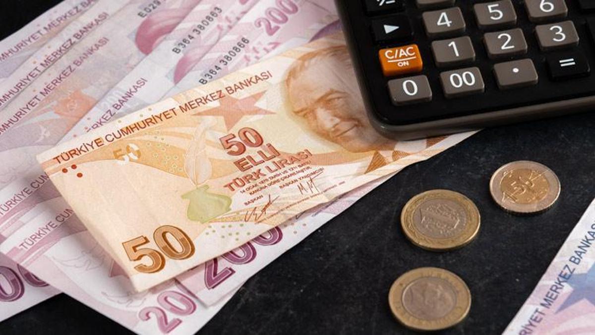 Türk Lirası mevduatta 2 yılda yüzde 385 büyüme