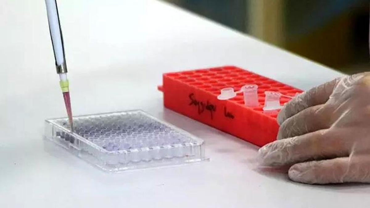 Kanser cerrahisinde hedef, tekrarlama riskini yüzde 10’un altında tutmaktır