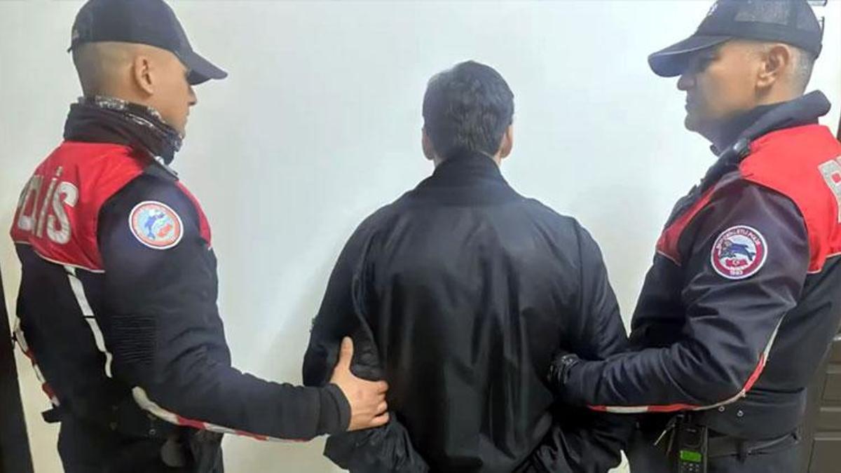 Kedilere eziyet eden ve örgüt propagandası yapan 'C31K' topluluğu üyesi 5 kişi tutuklandı