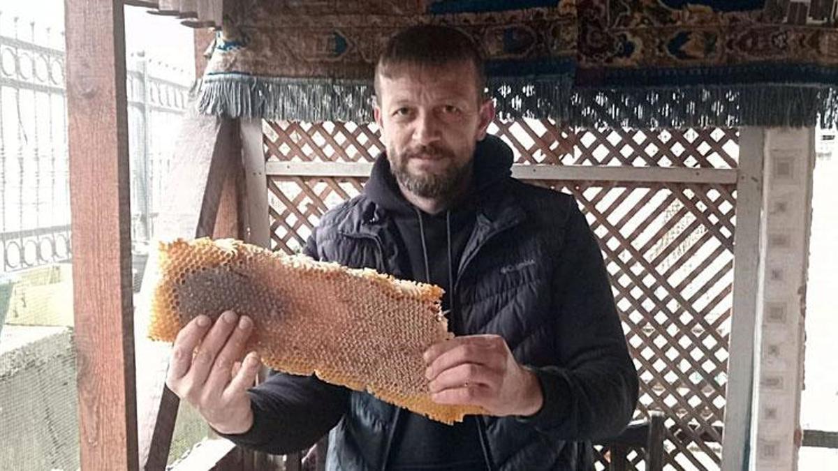 Kaçtığını sandığı arılar, kullanılmayan bavula bal yapmış